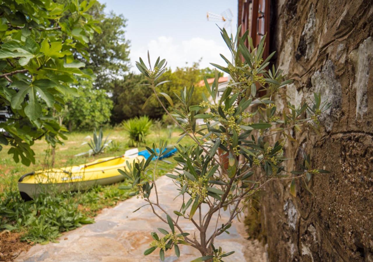 Santa Cruz Country Cottage Kallithea  Zewnętrze zdjęcie
